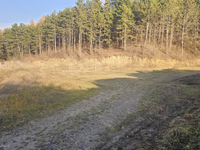 Teren intravilan de vanzare, Camping Colina